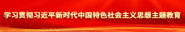 深入浅出旳日皮视频学习贯彻习近平新时代中国特色社会主义思想主题教育